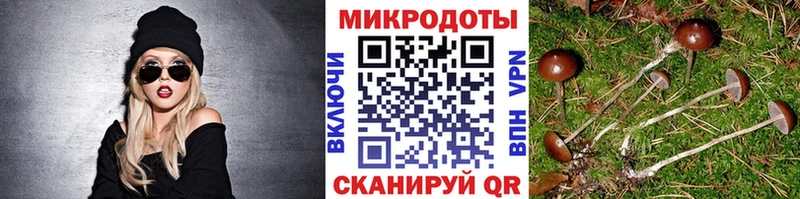 Псилоцибиновые грибы мухоморы  сайты даркнета официальный сайт  Козельск  наркота 